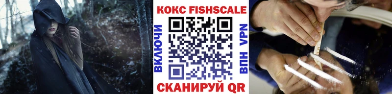 магазин продажи Цимлянск КОКАИН Fish Scale