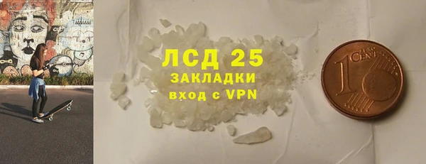 прущие грибы Аркадак