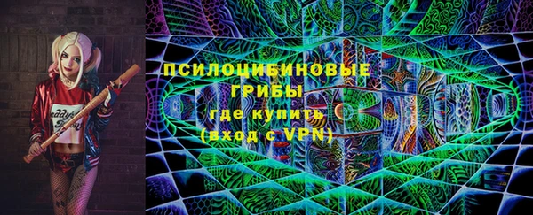 прущие грибы Аркадак